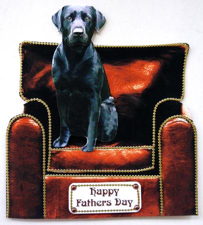 Black Labrador Sat on Chair by Selina Dittmann