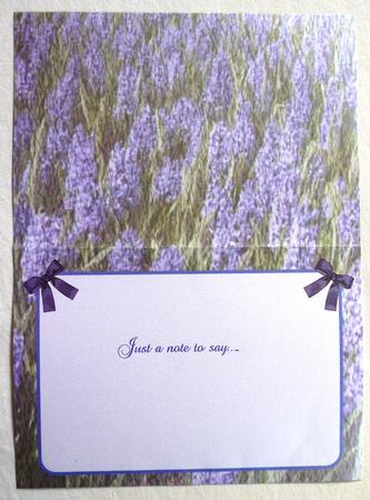 Hyacinths Insert by Selina Dittmann