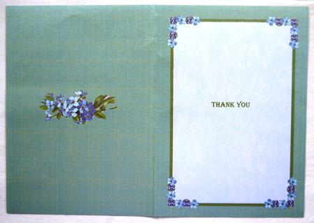 Forget-me-not Insert by Selina Dittmann