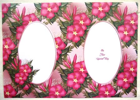 Bright Pink Hibiscus Insert by Selina Dittmann