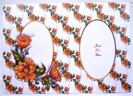Orange Beauty Insert by Selina Dittmann