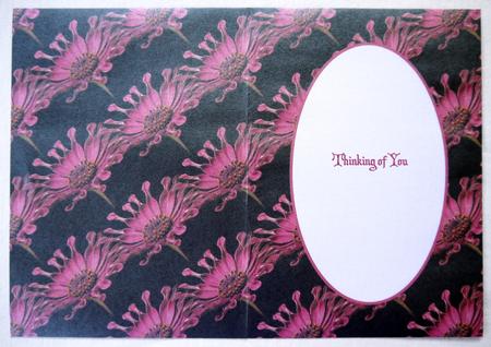 African Daisy Insert by Selina Dittmann