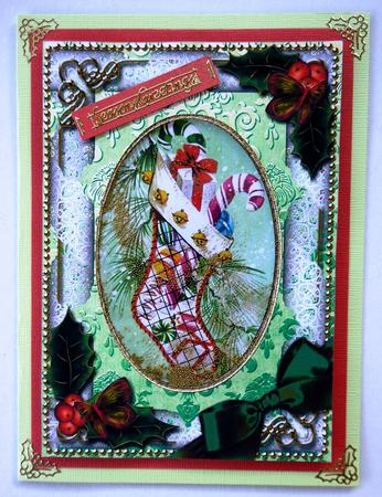 Christmas Stocking Holly 7x5in Picture and Shaker Frame by Selina Dittmann
