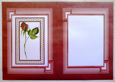 Red Rose Insert by Selina Dittmann