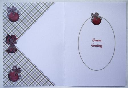 Plaid Xmas Insert by Selina Dittmann