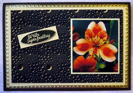 Beauty Various Occasions Card by Selina Dittmann