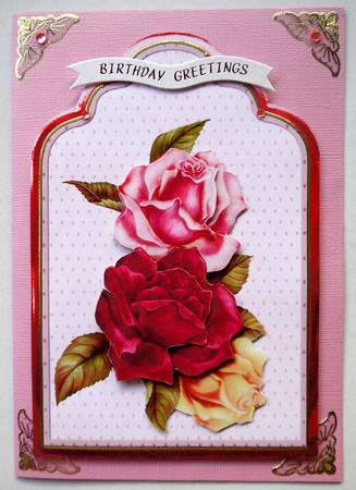 Large Roses by Selina Dittmann