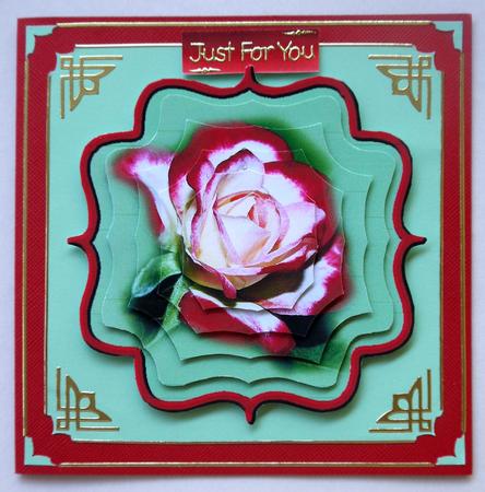 Red Tipped Rose by Selina Dittmann