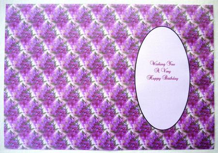 Orchid Insert by Selina Dittmann