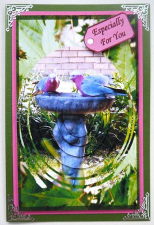 Bird Bath by Selina Dittmann