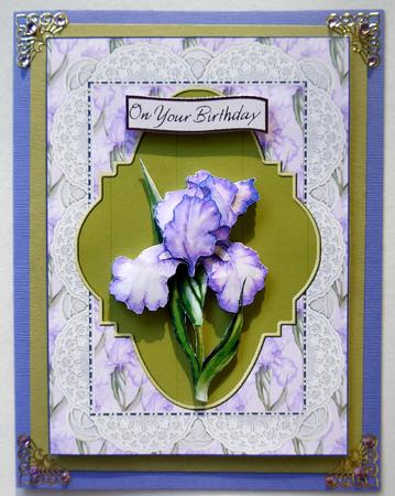 Purple Iris by Selina Dittmann