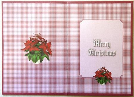 Red Plaid Xmas Insert by Selina Dittmann