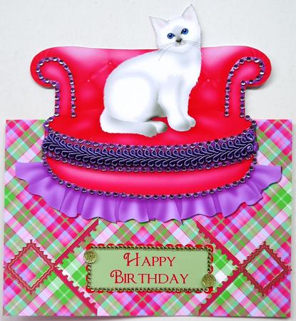 A Purrfect Birthday Over the Edge Card by Selina Dittmann