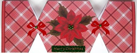 Christmas Cracker Shaped Card with Red Poinsetta by Selina Dittmann
