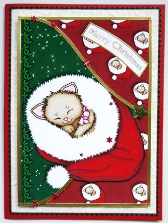 Sleepy Kitty Christmas Envelope Card Front by Selina Dittmann