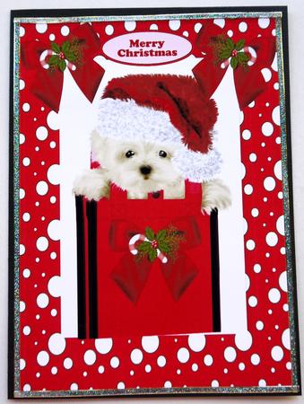 Little Westie with Santa Hat on A4 by Selina Dittmann