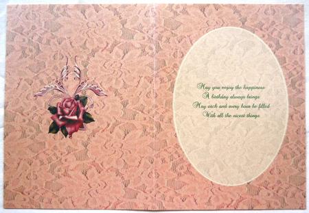 Vintage Lace and Pink Rose Insert by Selina Dittmann