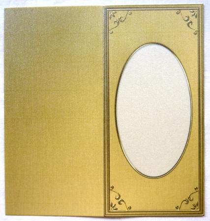 Dl 'metallic Frame Embossed' Card Front or Insert by Selina Dittmann