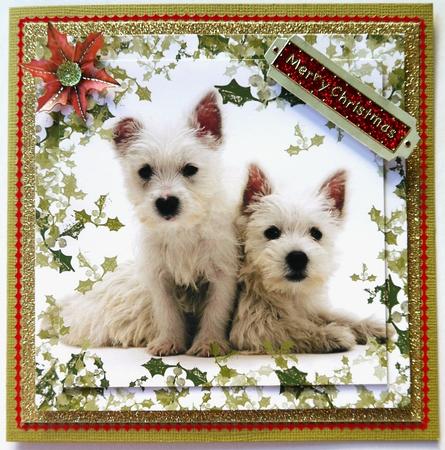 Holly Westie Large Square by Selina Dittmann