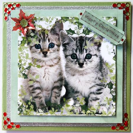Holly Kitten Large Square Card Front by Selina Dittmann