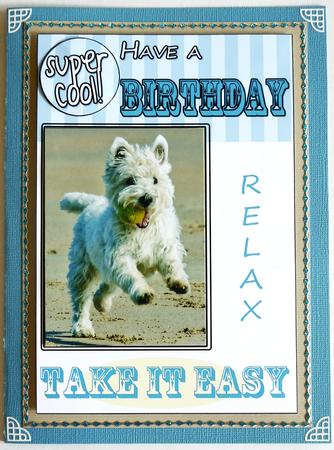 West Highland Terrier Birthday Card by Selina Dittmann
