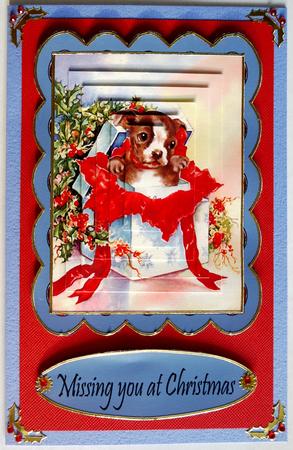 Missing You at Christmas by Selina Dittmann