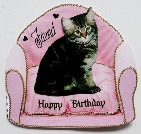 Tabby Kitten on a Pink Chair by Selina Dittmann