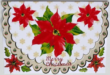 Red Poinsettia Scalloped Card by Selina Dittmann