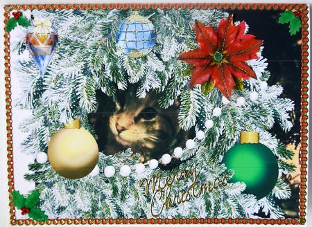 Lucy Kitty Cat in the Christmas Tree Quick Cut & Fold Card by Selina Dittmann