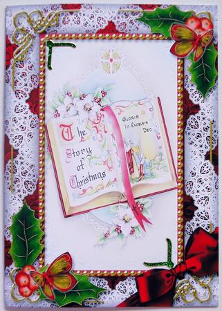 Christmas Book Holly 7x5inch Folded Picture Card by Selina Dittmann