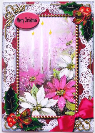 Pink Poinsettia Holly 7x5inch Folded Picture Card by Selina Dittmann
