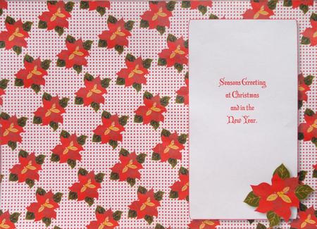 Poinsettia Insert (polka Dots) by Selina Dittmann