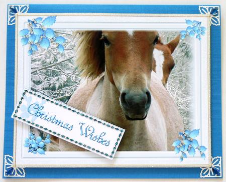 Christmas Ponies by Selina Dittmann