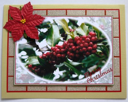 Christmas Berries by Selina Dittmann