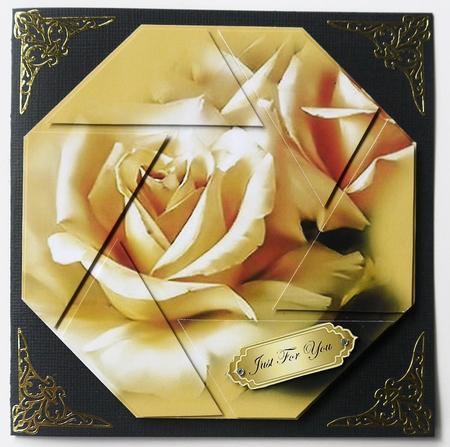 Cream Rose's Octagon Camera Eye Stacker by Selina Dittmann