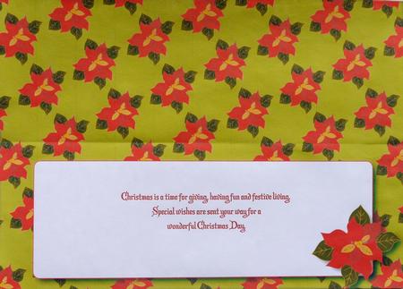 Poinsettia Insert for Large Dl (olive) by Selina Dittmann