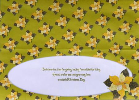 Cream Poinsettia Insert for Large Dl (olive) by Selina Dittmann