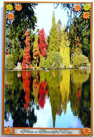 England's Autumn Reflections by Selina Dittmann