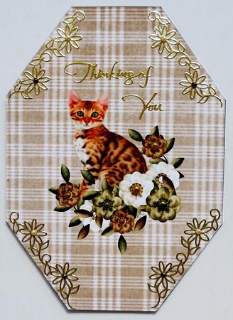 Tabby Kitten and Flowers Octagon Card by Selina Dittmann