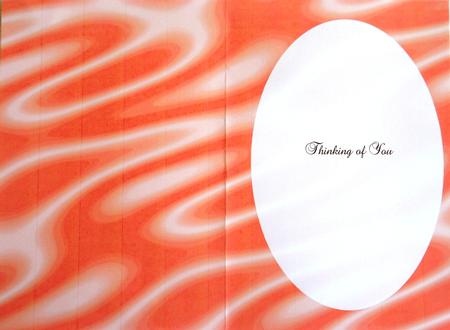 Sumptuous Satin A5 Insert - Deep Orange by Selina Dittmann