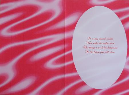 Sumptuous Satin A5 Insert - Cerise by Selina Dittmann