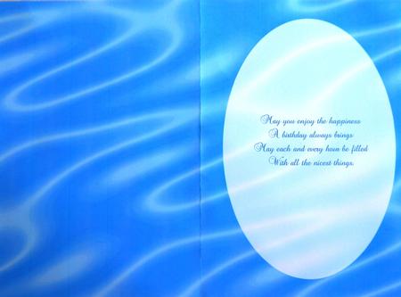 Sumptuous Satin A5 Insert - Sky Blue by Selina Dittmann