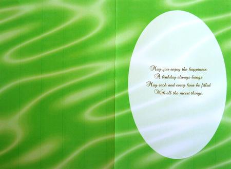Sumptuous Satin A5 Insert - Lime Green by Selina Dittmann