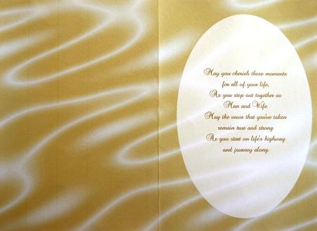 Sumptuous Satin A5 Insert - Champagne by Selina Dittmann