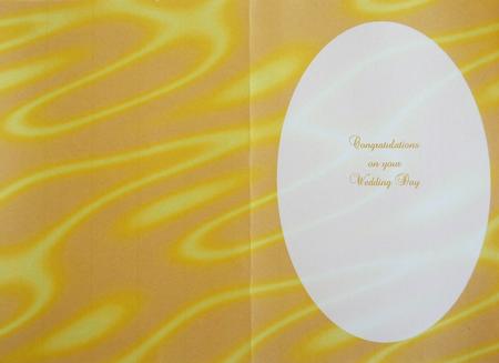 Sumptuous Satin A5 Insert - Golden Sunshine by Selina Dittmann