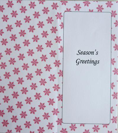 Christmas Snowflakes Insert for Dl (pink 2) by Selina Dittmann