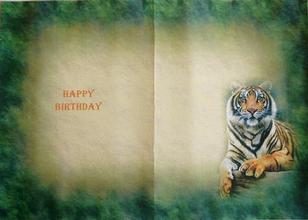 Tiger Insert by Selina Dittmann