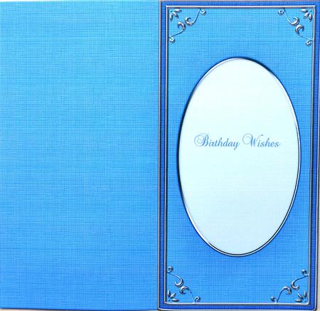 Dl 'silver Metallic Frame' Card Front or Insert by Selina Dittmann