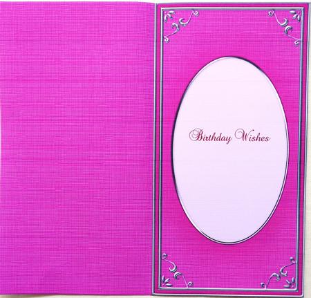 Dl 'silver Metallic Frame' Card Front or Insert by Selina Dittmann