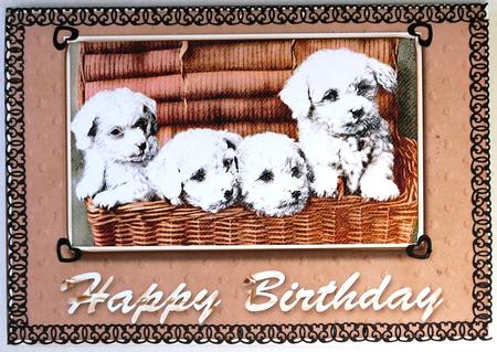 Puppies in a Basket Happy Birthday Quick Cut & Fold Card by Selina Dittmann